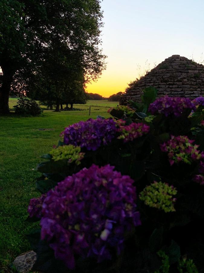 Au Coeur De La Nature Allaire ภายนอก รูปภาพ