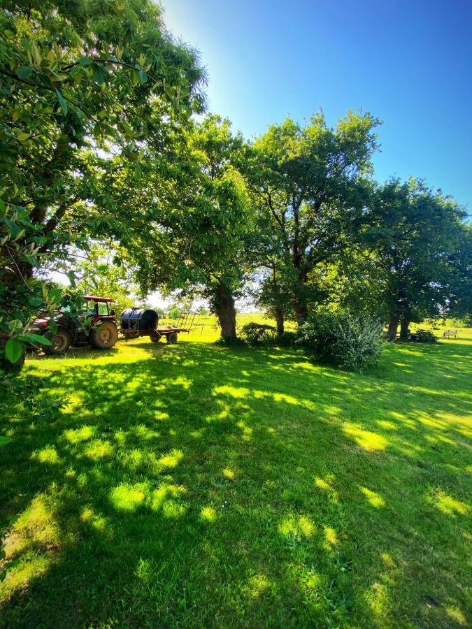 Au Coeur De La Nature Allaire ภายนอก รูปภาพ